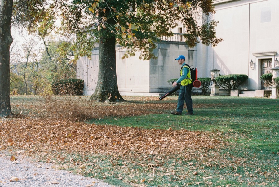 Fall yard clean-up